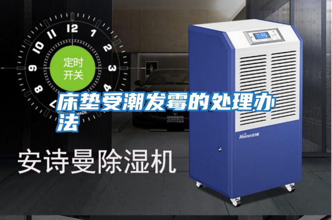 床墊受潮發霉的處理辦法