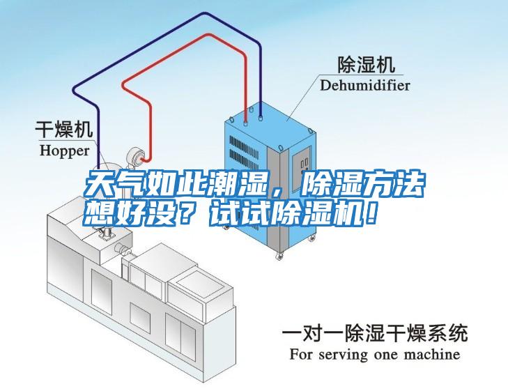 天氣如此潮濕，除濕方法想好沒？試試除濕機！