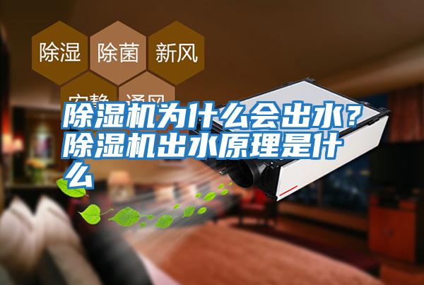 除濕機為什么會出水？除濕機出水原理是什么