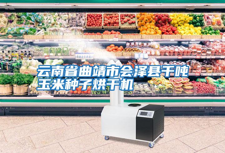 云南省曲靖市會澤縣千噸玉米種子烘干機(jī)