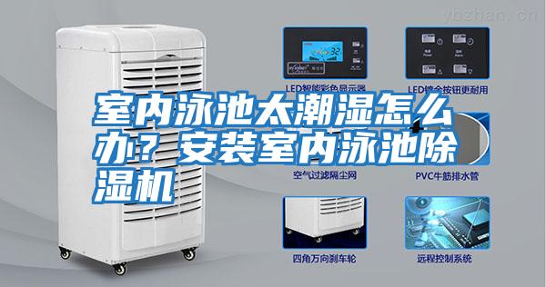 室內泳池太潮濕怎么辦？安裝室內泳池除濕機