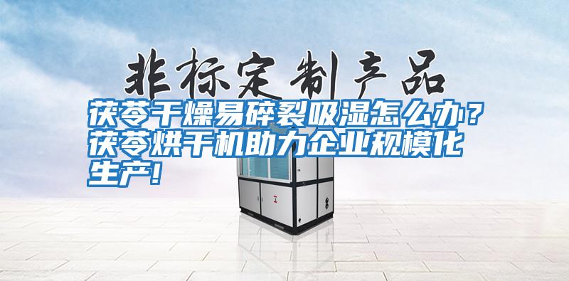 茯苓干燥易碎裂吸濕怎么辦？茯苓烘干機(jī)助力企業(yè)規(guī)模化生產(chǎn)!