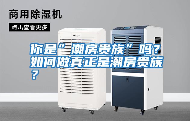 你是”潮房貴族”嗎？如何做真正是潮房貴族？