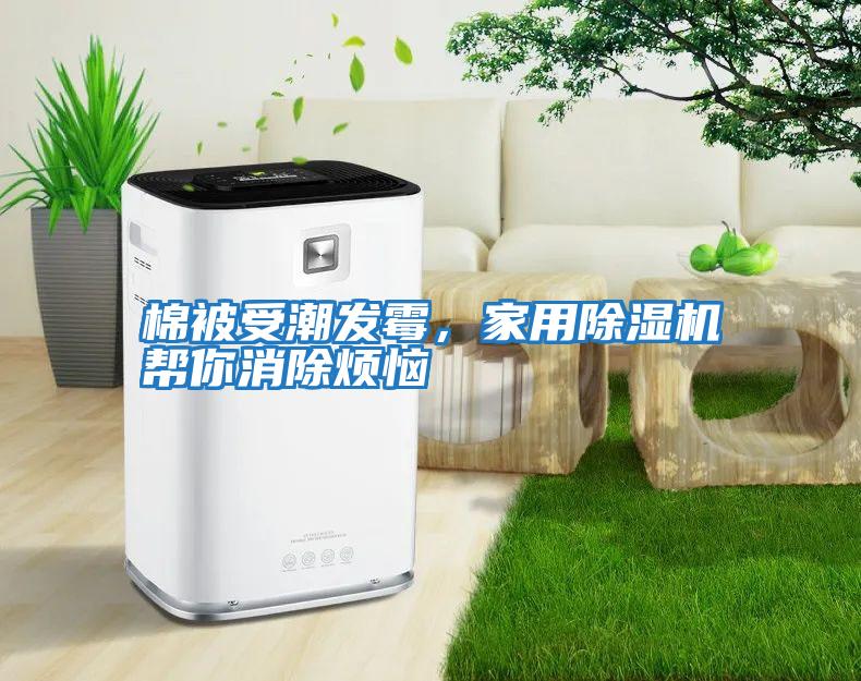 棉被受潮發(fā)霉，家用除濕機幫你消除煩惱