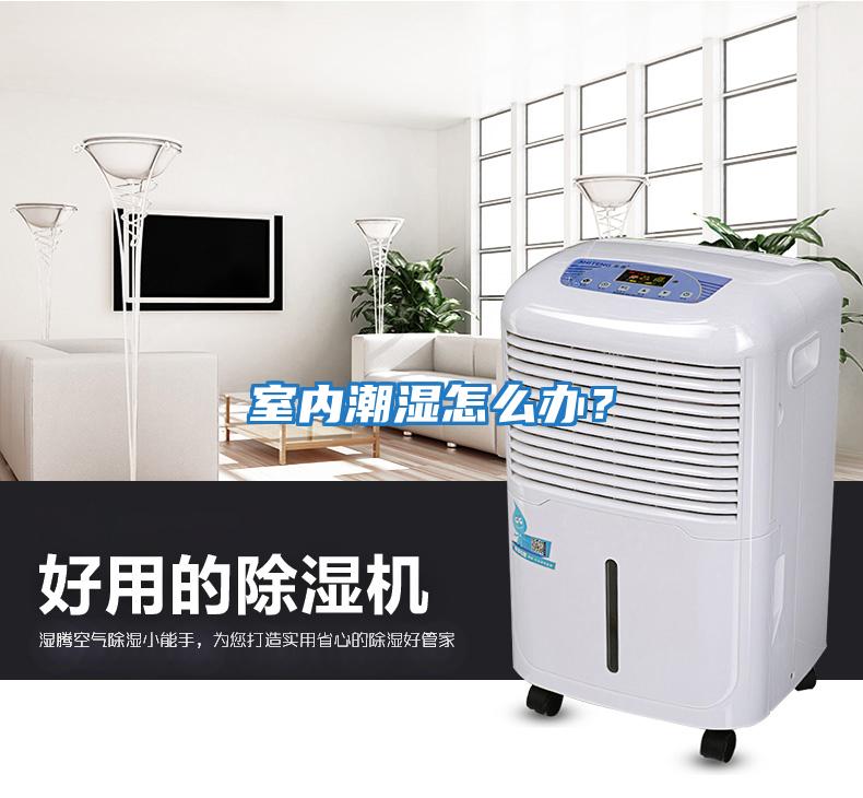 室內潮濕怎么辦？