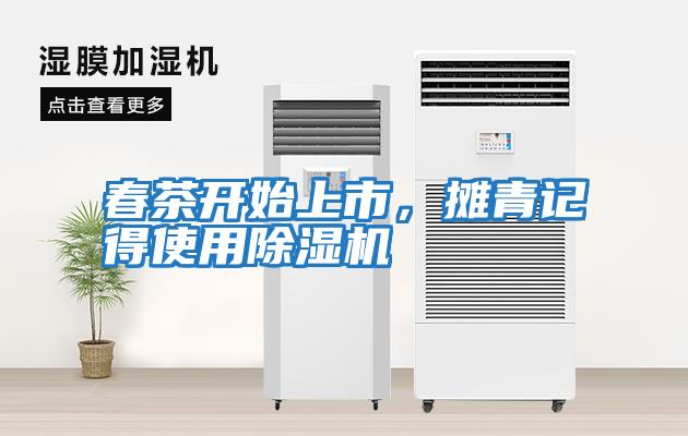 春茶開始上市，攤青記得使用除濕機