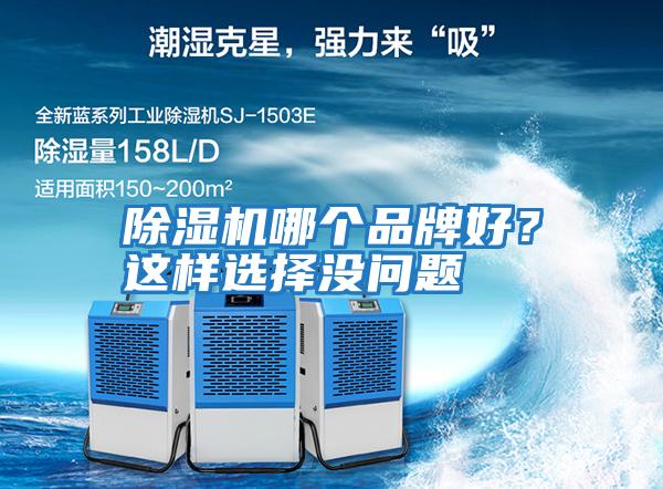 除濕機哪個品牌好？這樣選擇沒問題