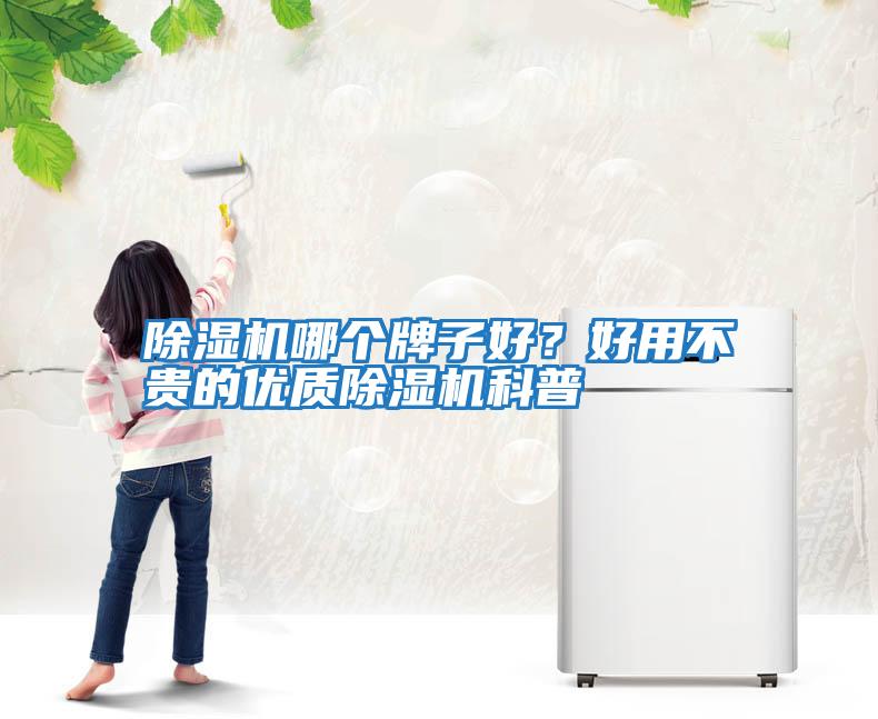 除濕機哪個牌子好？好用不貴的優質除濕機科普