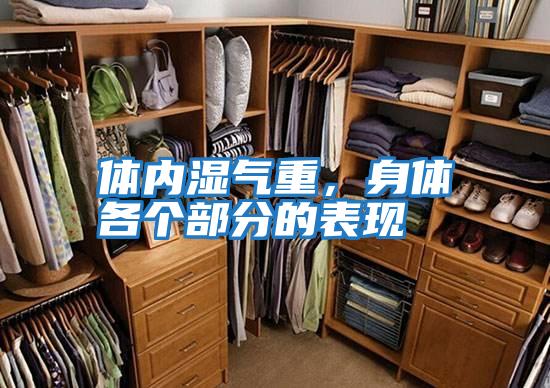 體內濕氣重，身體各個部分的表現