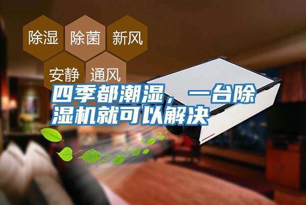 四季都潮濕，一臺除濕機就可以解決