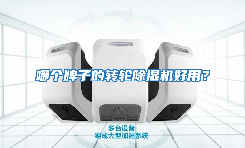 哪個牌子的轉輪除濕機好用？