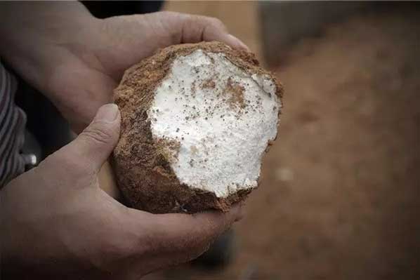 1530521543792401.jpg 6403426394df452ebefccd42e4734955.jpg