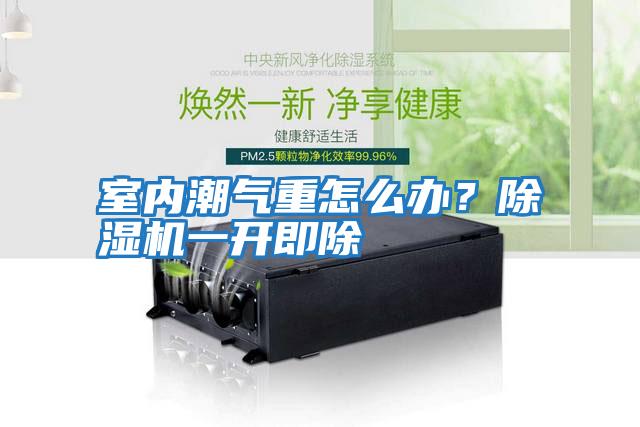 室內(nèi)潮氣重怎么辦？除濕機(jī)一開即除