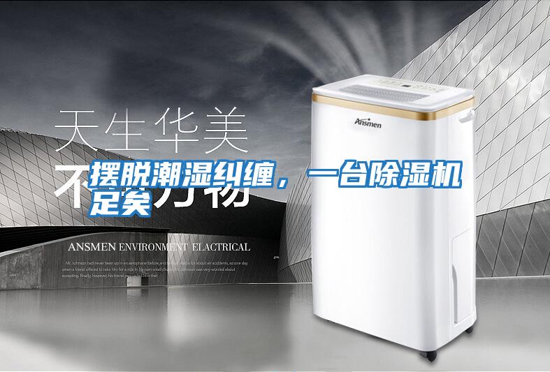 擺脫潮濕糾纏，一臺除濕機足矣