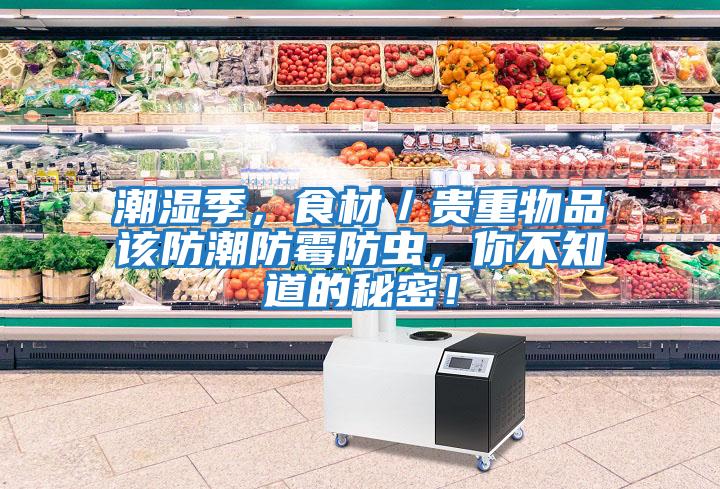 潮濕季，食材／貴重物品該防潮防霉防蟲，你不知道的秘密！