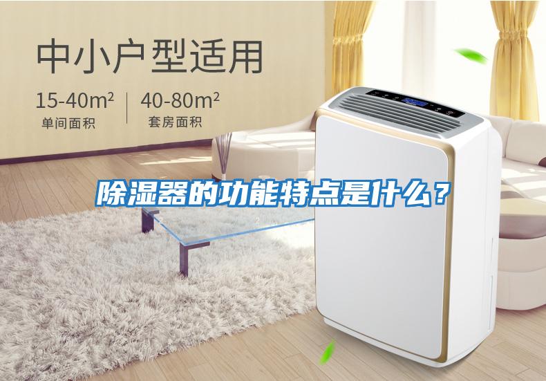 除濕器的功能特點(diǎn)是什么？
