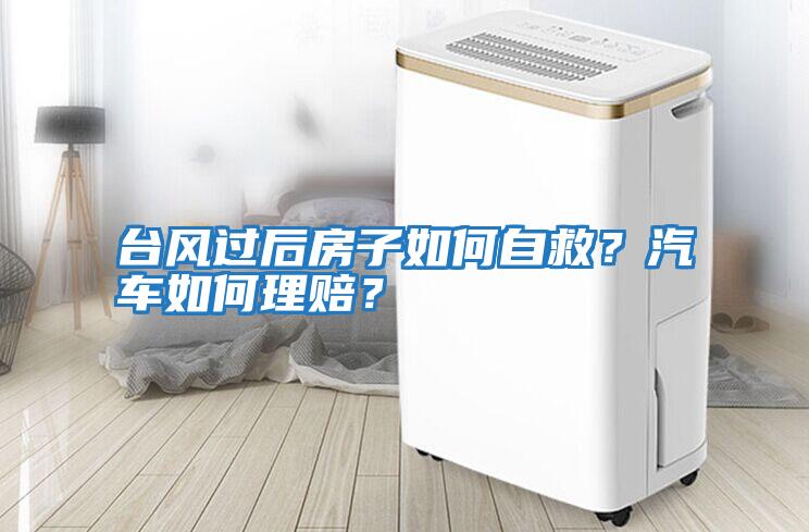 臺風過后房子如何自救？汽車如何理賠？