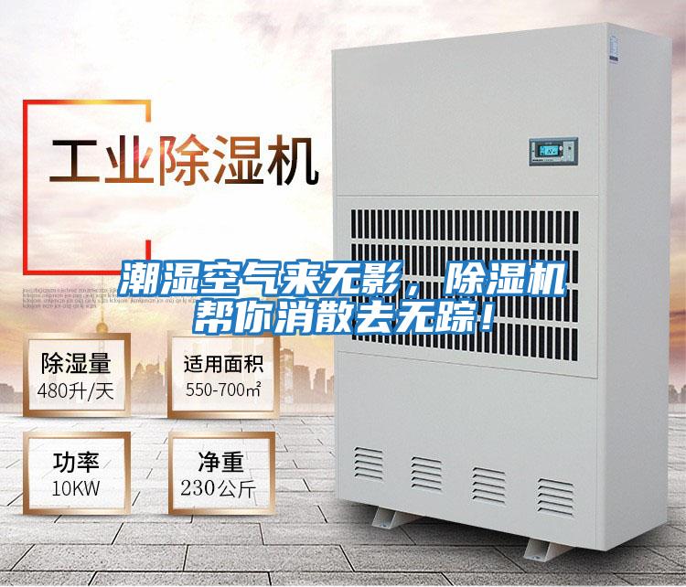 潮濕空氣來無影，除濕機幫你消散去無蹤！