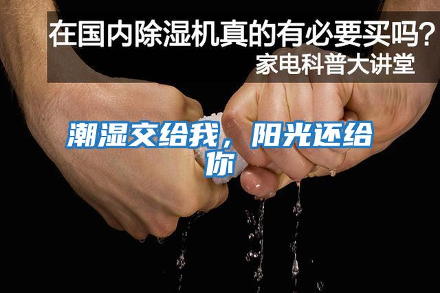 潮濕交給我，陽光還給你