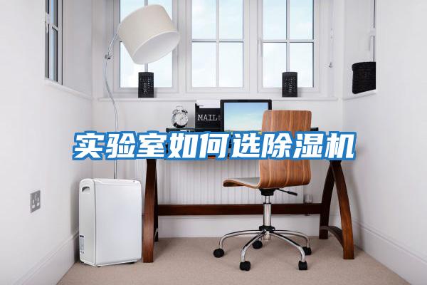 實驗室如何選除濕機(jī)