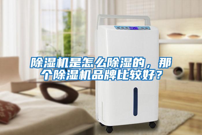 除濕機是怎么除濕的，那個除濕機品牌比較好？