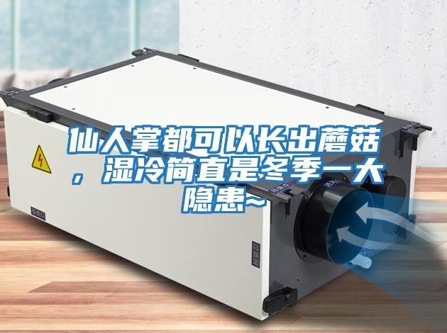 仙人掌都可以長(zhǎng)出蘑菇，濕冷簡(jiǎn)直是冬季一大隱患~