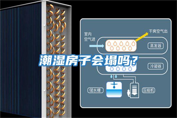 潮濕房子會塌嗎？
