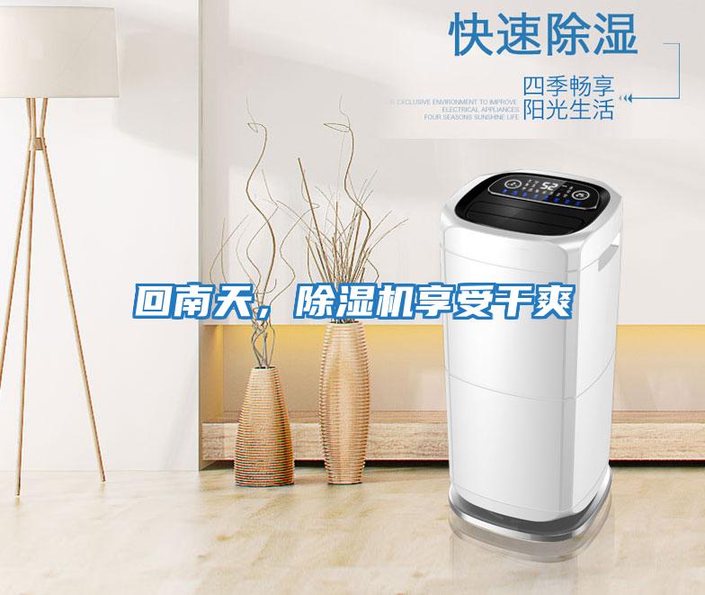 回南天，除濕機享受干爽