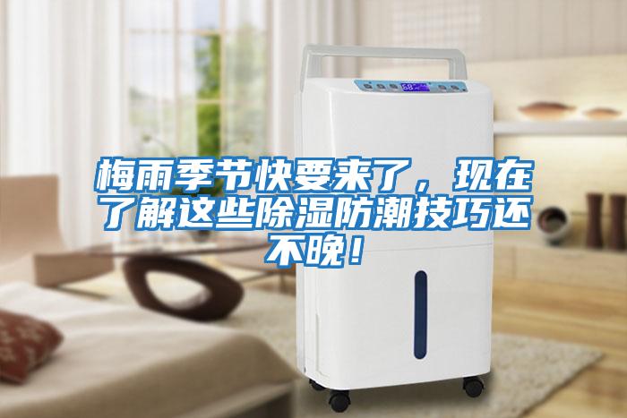 梅雨季節(jié)快要來了，現(xiàn)在了解這些除濕防潮技巧還不晚！