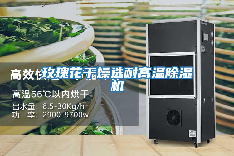 玫瑰花干燥選耐高溫除濕機(jī)