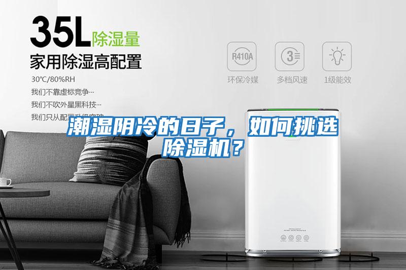 潮濕陰冷的日子，如何挑選除濕機(jī)？