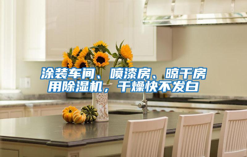 涂裝車間、噴漆房、晾干房用除濕機(jī)，干燥快不發(fā)白