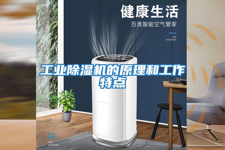 工業(yè)除濕機(jī)的原理和工作特點