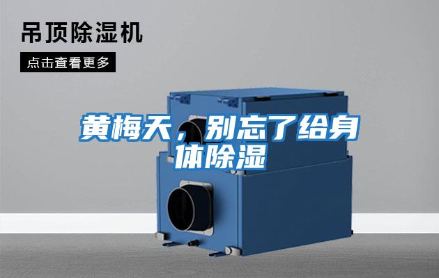 黃梅天，別忘了給身體除濕