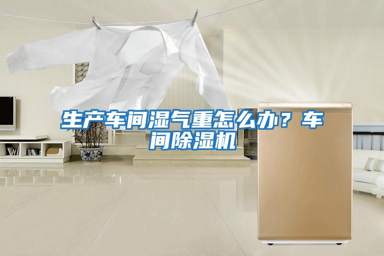 生產車間濕氣重怎么辦？車間除濕機