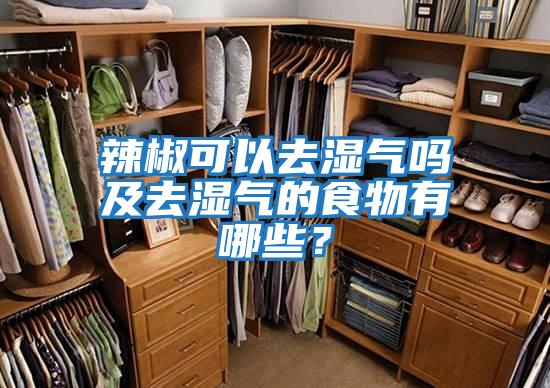 辣椒可以去濕氣嗎及去濕氣的食物有哪些？