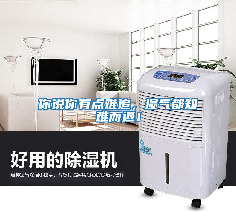 你說你有點難追，濕氣都知難而退！