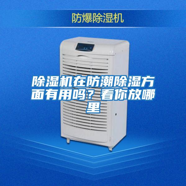 除濕機(jī)在防潮除濕方面有用嗎？看你放哪里
