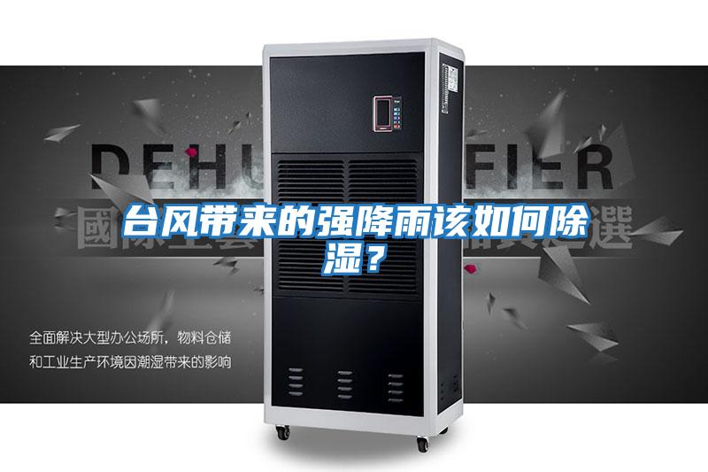 臺風帶來的強降雨該如何除濕？