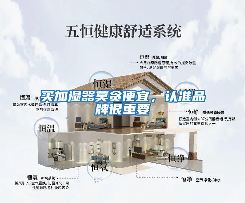 買加濕器莫貪便宜，認準品牌很重要