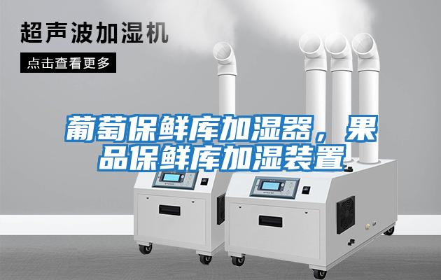 葡萄保鮮庫加濕器，果品保鮮庫加濕裝置