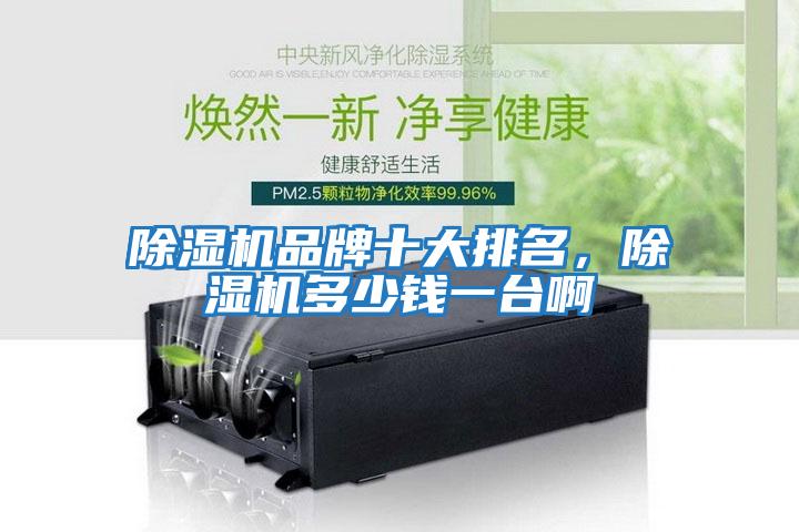 除濕機品牌十大排名，除濕機多少錢一臺啊