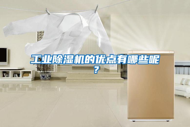 工業(yè)除濕機(jī)的優(yōu)點(diǎn)有哪些呢?
