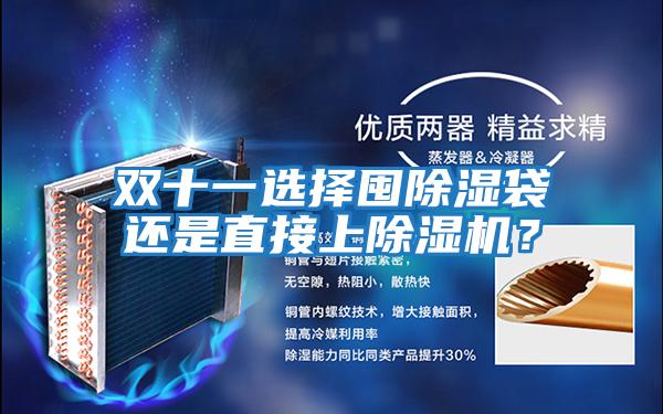 雙十一選擇囤除濕袋還是直接上除濕機？