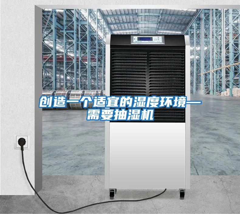 創造一個適宜的濕度環境—需要抽濕機