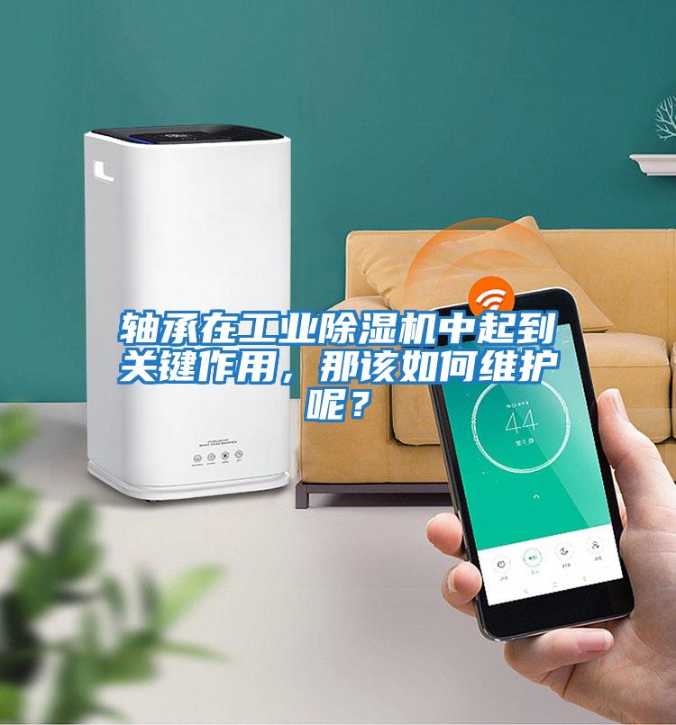 軸承在工業(yè)除濕機中起到關(guān)鍵作用，那該如何維護呢？