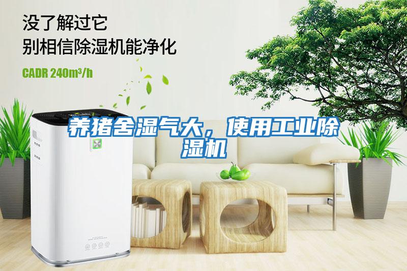 養豬舍濕氣大，使用工業除濕機