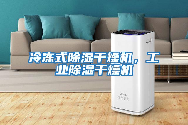 冷凍式除濕干燥機(jī)，工業(yè)除濕干燥機(jī)