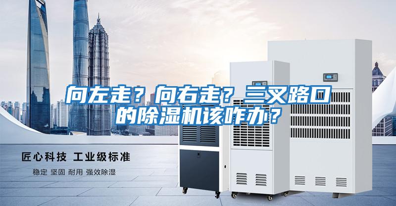 向左走？向右走？三叉路口的除濕機(jī)該咋辦？