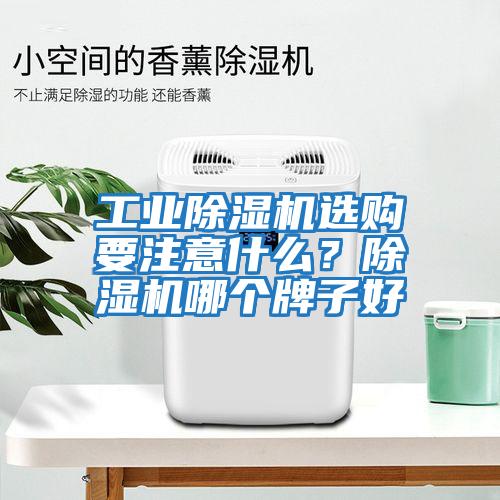 工業除濕機選購要注意什么？除濕機哪個牌子好